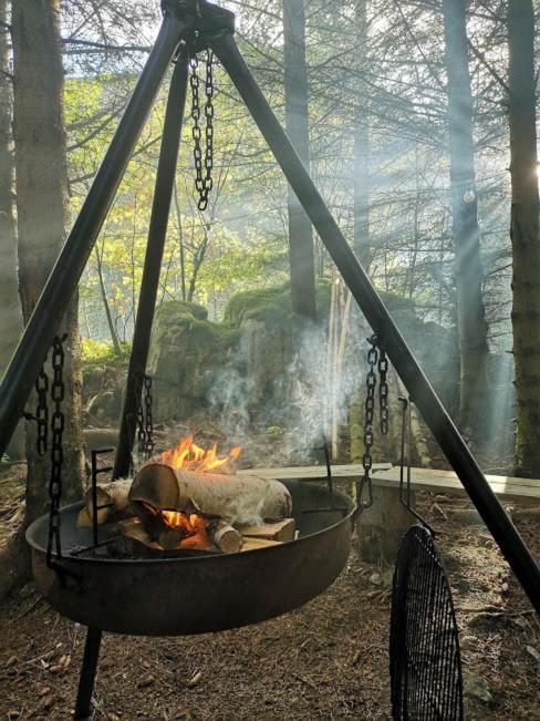 Glamping Lofoten Hotel Kongsjorda Esterno foto