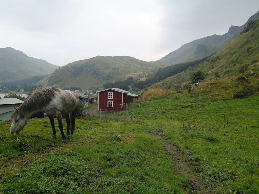 Glamping Lofoten Hotel Kongsjorda Esterno foto