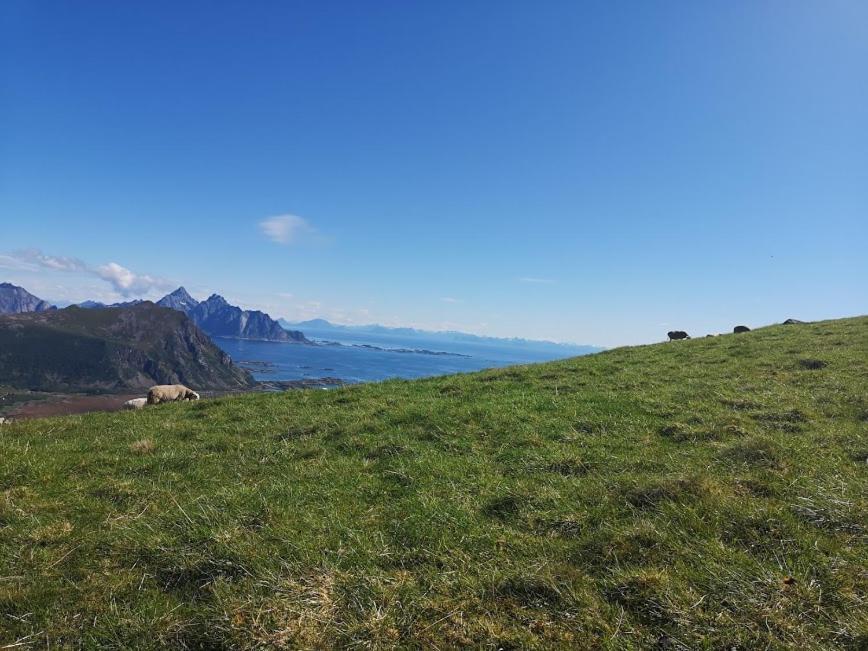 Glamping Lofoten Hotel Kongsjorda Esterno foto