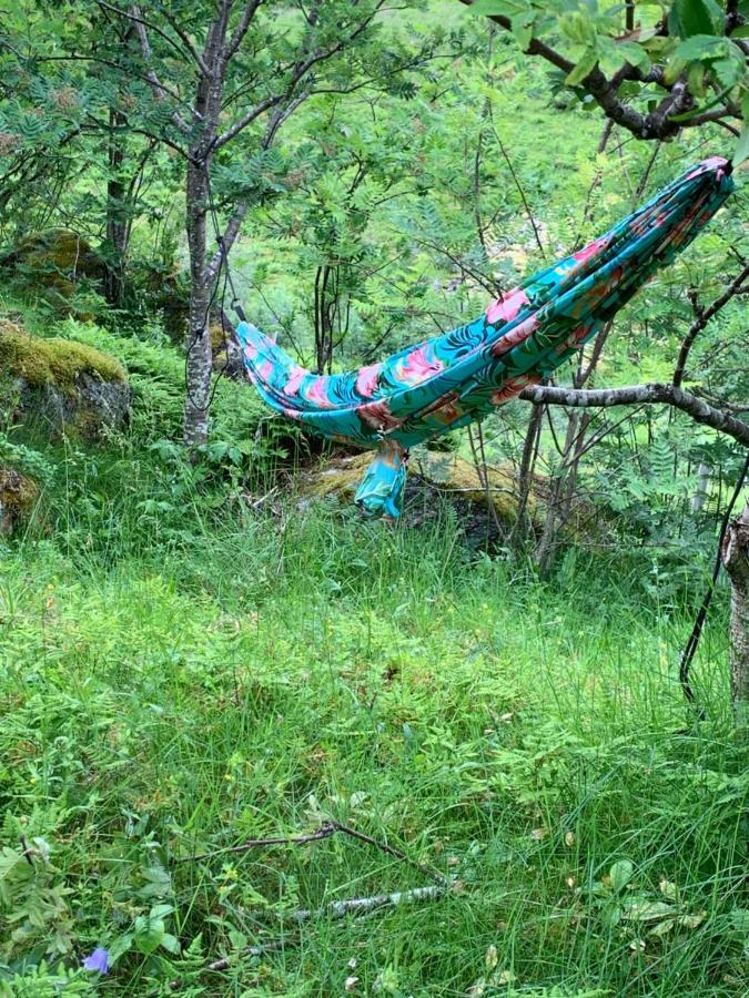 Glamping Lofoten Hotel Kongsjorda Esterno foto